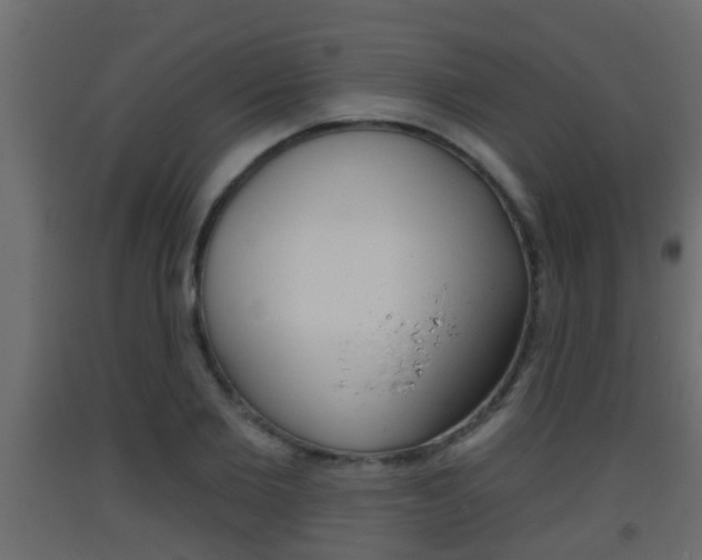 X0000093380885200710111345