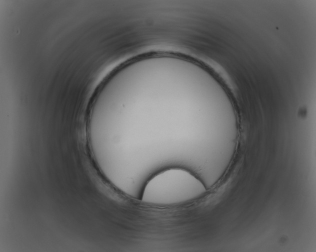 X0000093380887200710111345