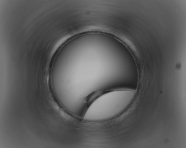 X0000093380888200710111345
