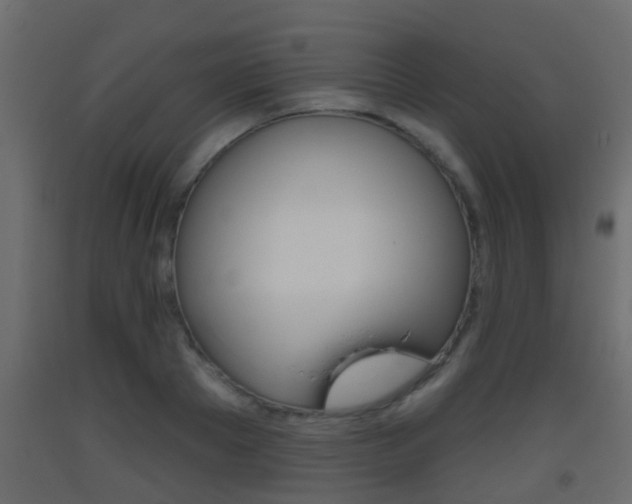 X0000093380889200710111345