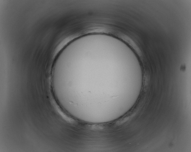 X0000093380890200710111345