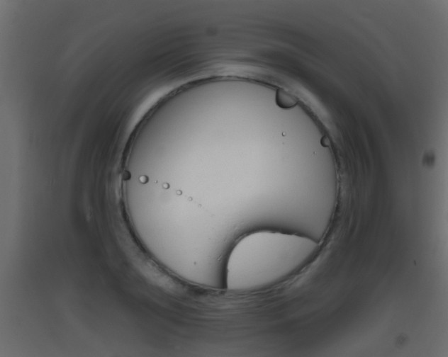 X0000093380891200710111345