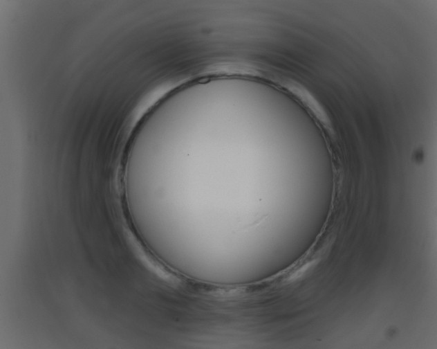 X0000093380893200710111345