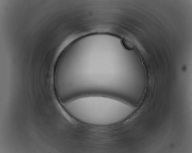X0000093380894200710111345