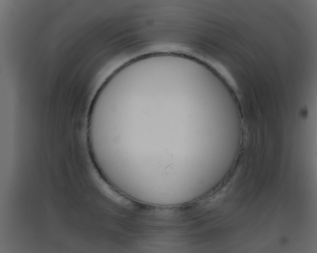 X0000093380895200710111345