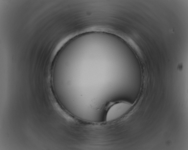X0000093380896200710111345