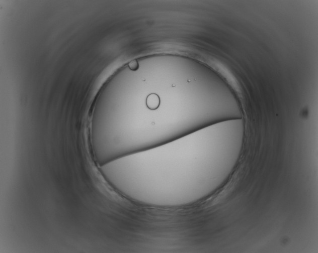 X0000093380899200710111345