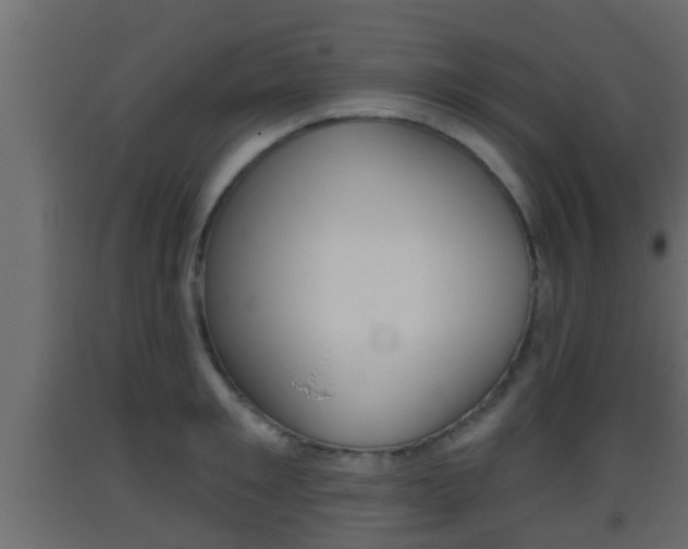 X0000093380901200710111345