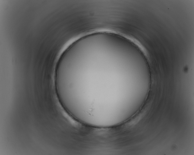 X0000093380902200710111345
