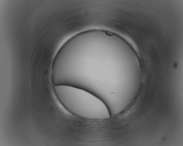 X0000093380903200710111345