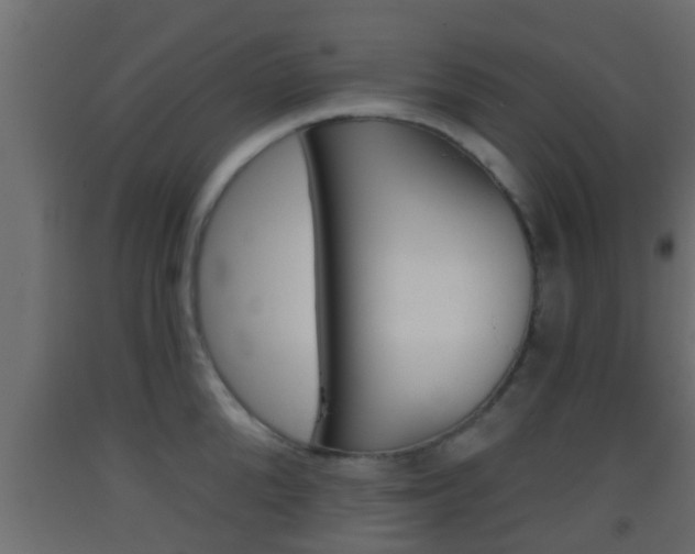 X0000093380904200710111345