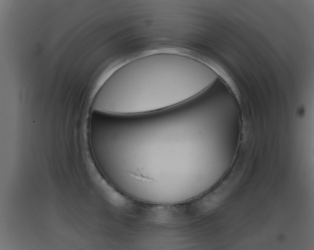 X0000093380906200710111345