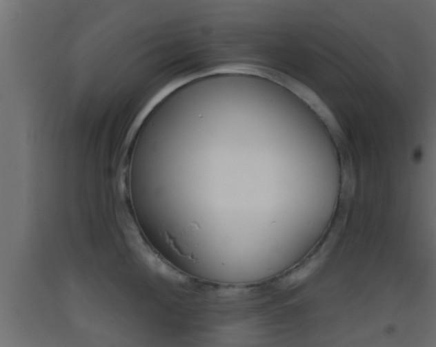 X0000093380908200710111345