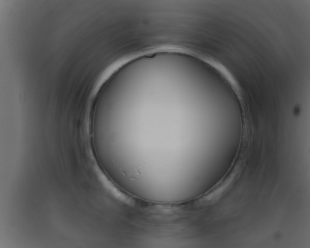 X0000093380910200710111345