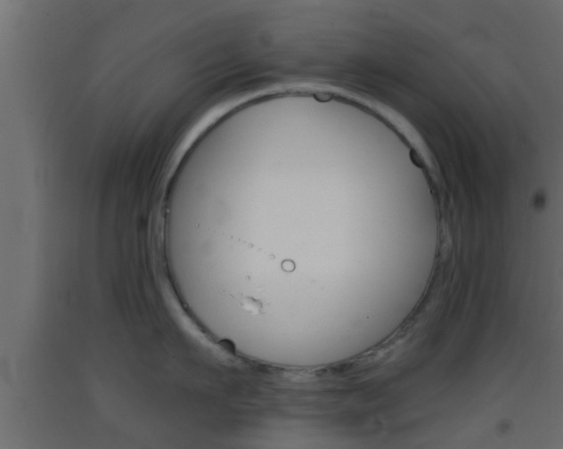 X0000093380911200710111345