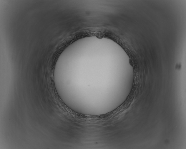 X0000093380913200710111344