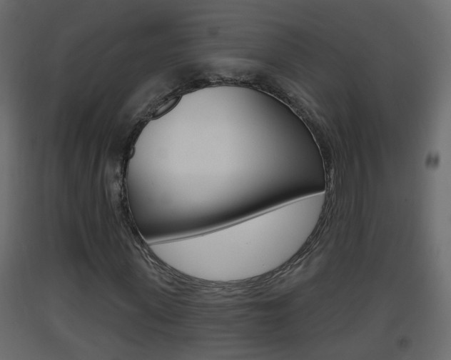 X0000093380915200710111344