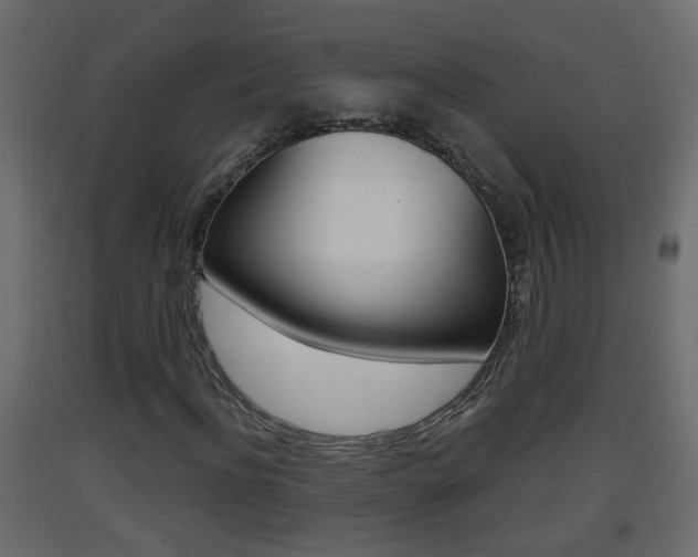 X0000093380916200710111344