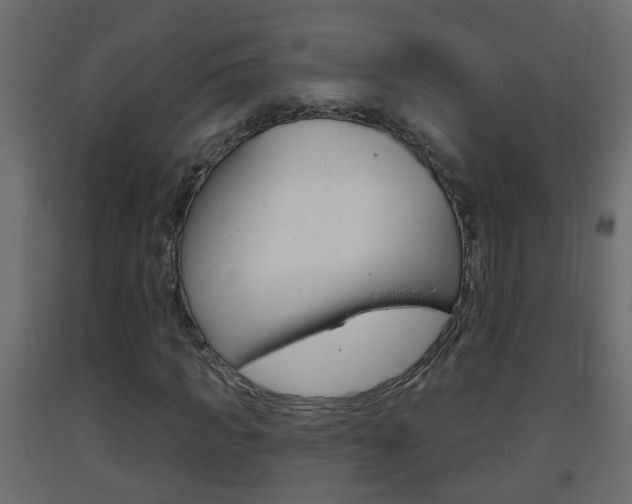 X0000093380917200710111344