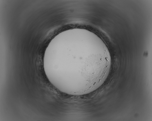X0000093380918200710111344