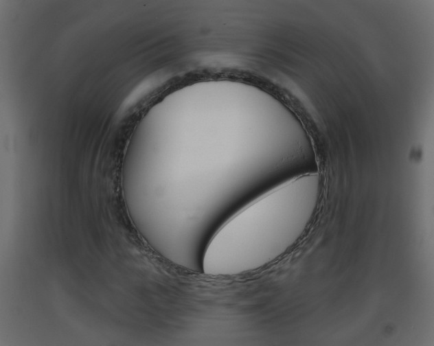 X0000093380919200710111344
