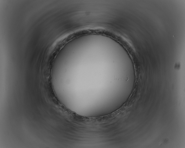 X0000093380920200710111344