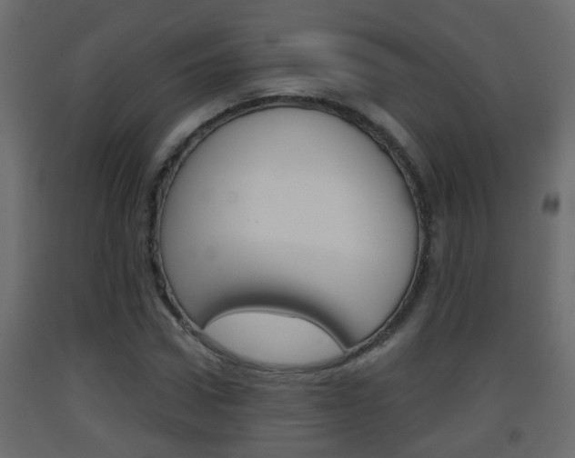 X0000093380922200710111344
