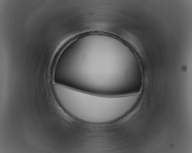 X0000093380924200710111344