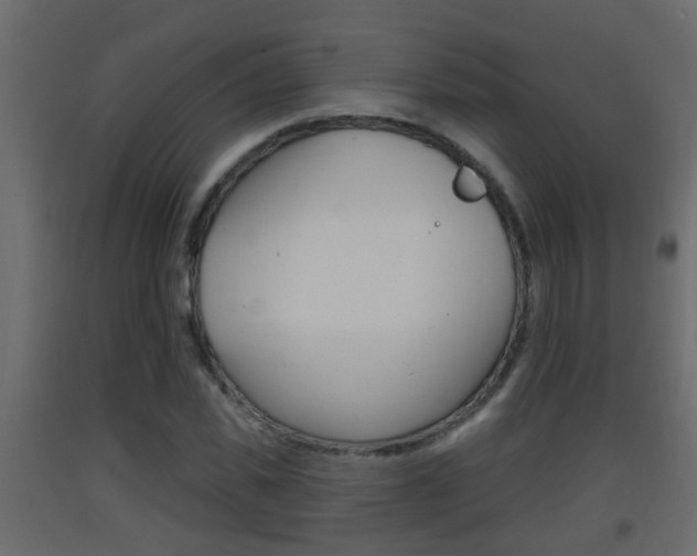 X0000093380925200710111344