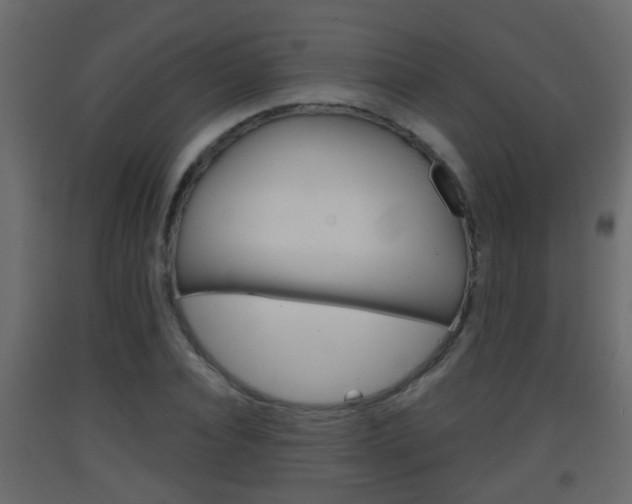 X0000093380928200710111344