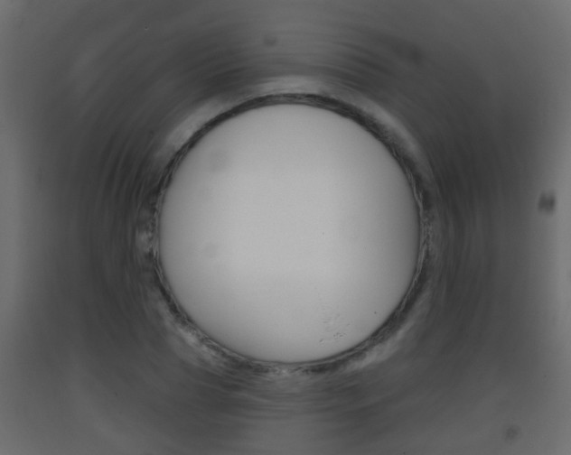 X0000093380929200710111344