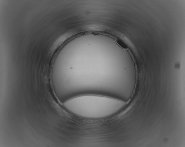 X0000093380930200710111344