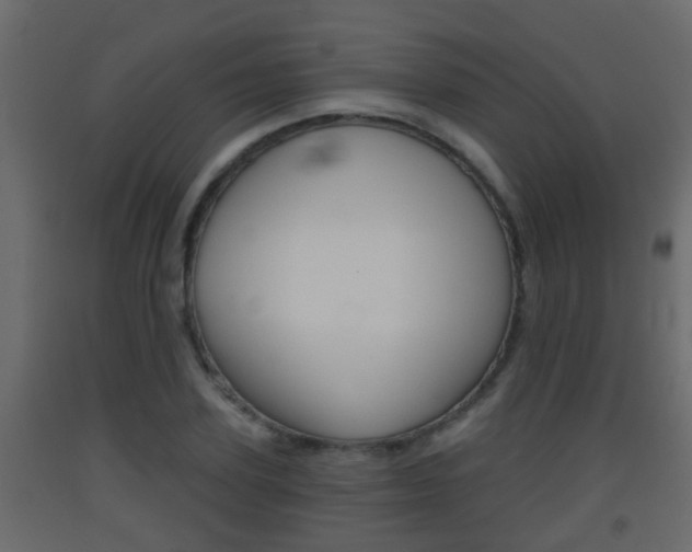 X0000093380931200710111344