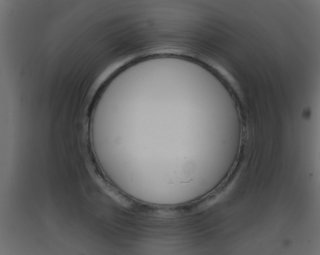 X0000093380933200710111344