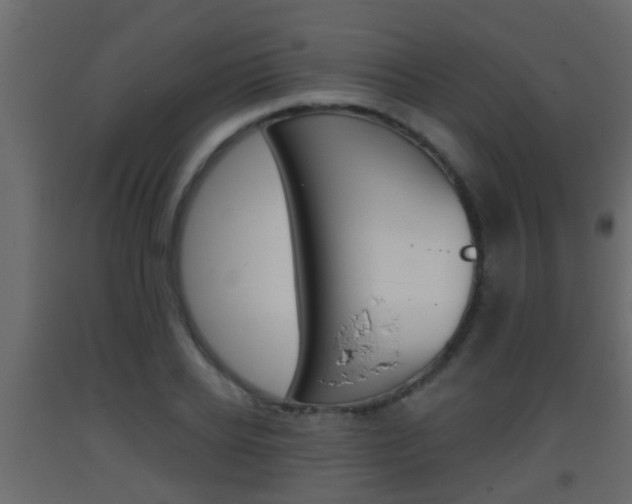 X0000093380934200710111344