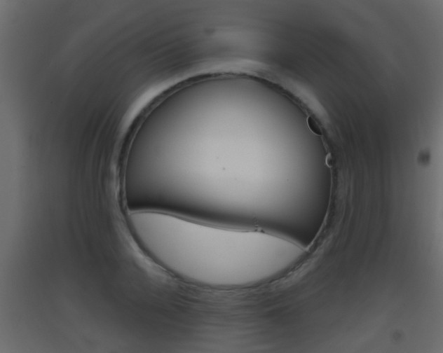X0000093380936200710111344