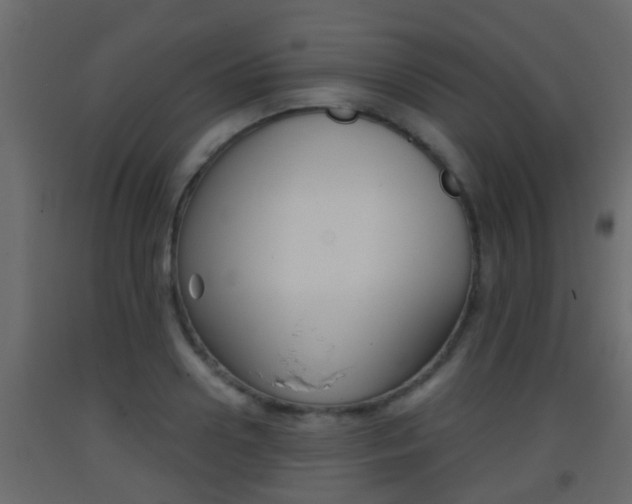X0000093380938200710111344