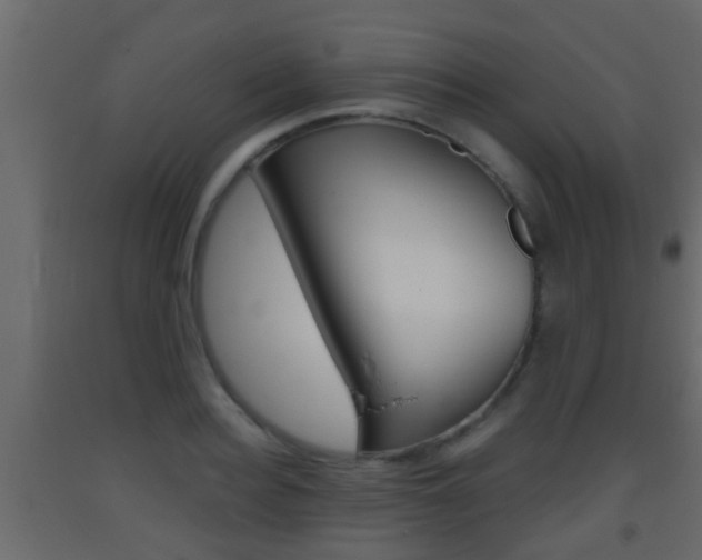 X0000093380940200710111344