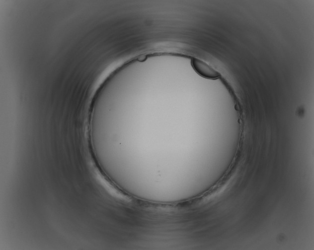 X0000093380941200710111344
