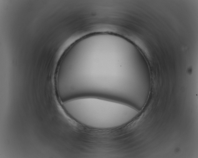 X0000093380943200710111344