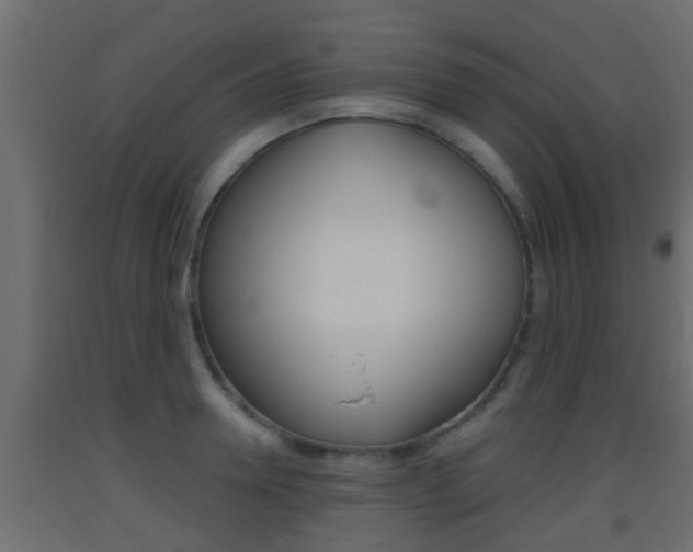 X0000093380946200710111344