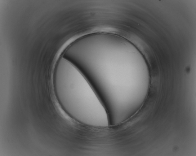 X0000093380947200710111344