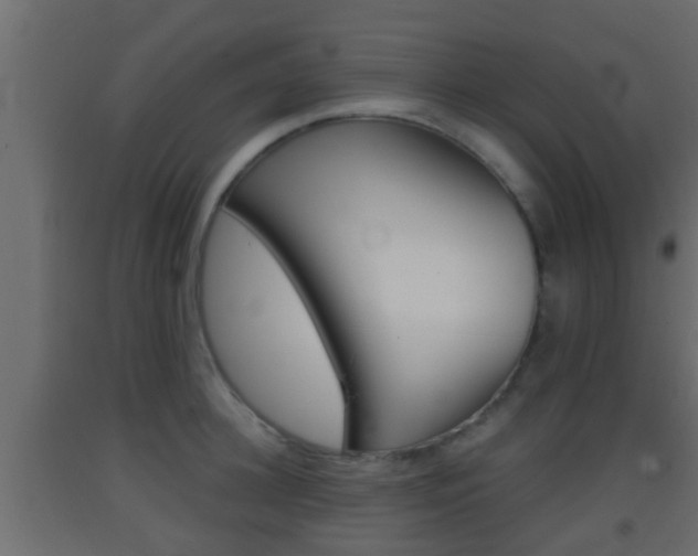 X0000093380948200710111344