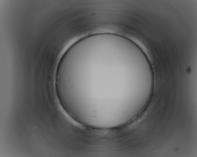 X0000093380949200710111344
