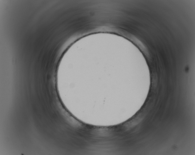 X0000093380950200710111345