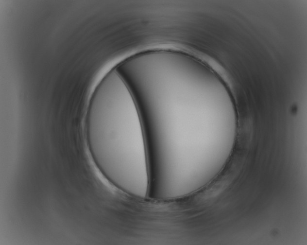 X0000093380951200710111345