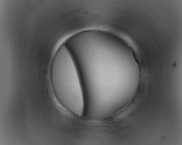 X0000093380952200710111345