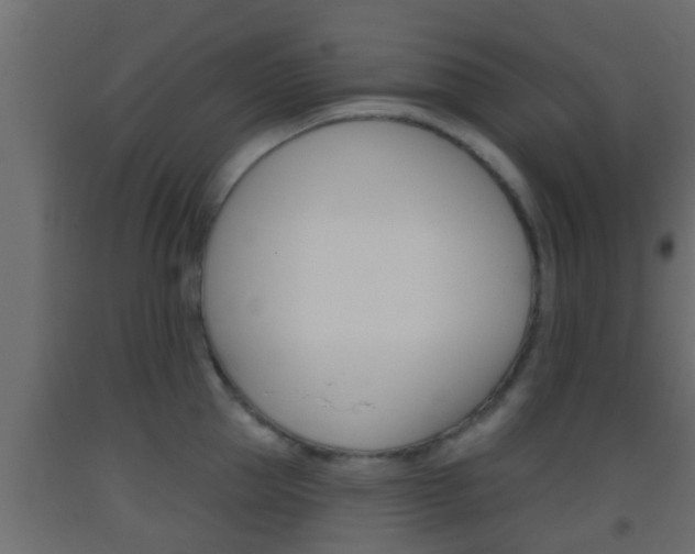 X0000093380953200710111345