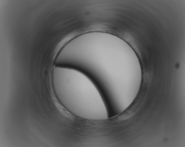 X0000093380954200710111345