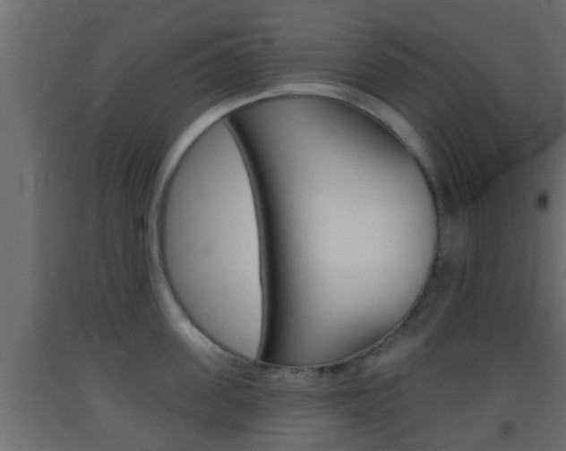 X0000093380955200710111345